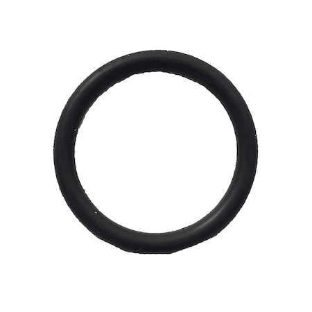 Sample O-Ring For Elan 5000