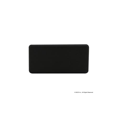 End Cap 45X90 2Pin Tab10 Nylon Blk