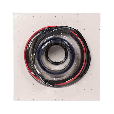 Hydraulic Cylinder,4 Bore X Seal Kit