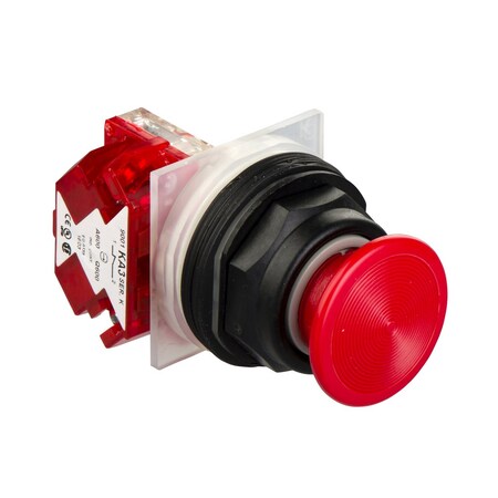 PUSHBUTTON 600VAC 10AMP 30MM SK OPTIONS