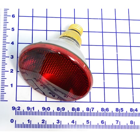 Bulbs,Red Incandescent Bulb,120V