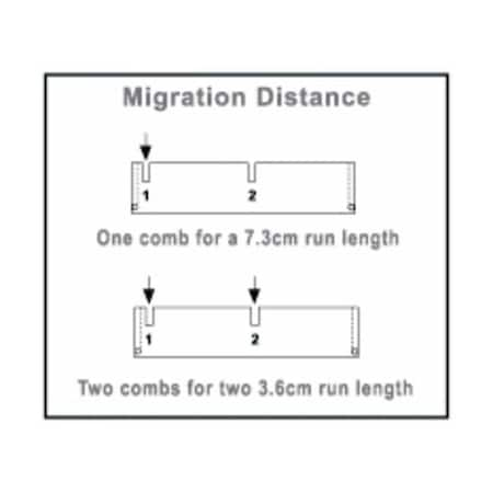 Owl 6 Tooth Comb,1.0/1.5 Mm Thick Doub