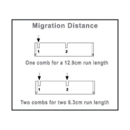 Owl B2 Multi Load 9 Well Comb,1.0mm