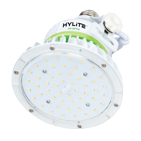 LED Lotus Repl Lamp For 150W HID, 30W, 4200 L, 5000K, E26, 40Deg. Lens