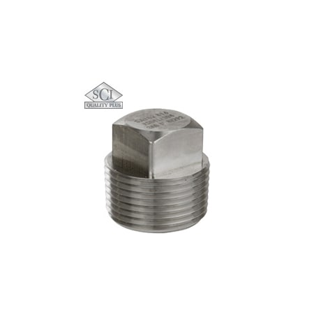 Thrd SQ Plug,3M,304/L,1-1/4