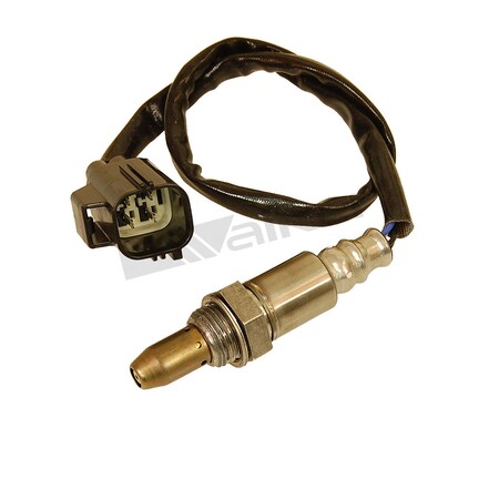 Oxygen Sensor,250-54043