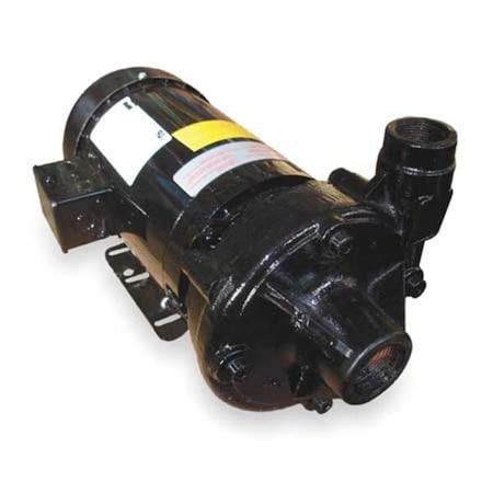 Cast Iron 3 HP Centrifugal Pump 208-230/460V