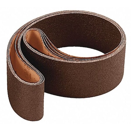 Surface Conditioning Low Stretch Belt, 6