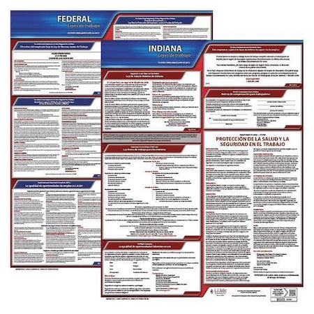 Labor Law Poster,Fed/STA,IN,SP,20inH,3yr