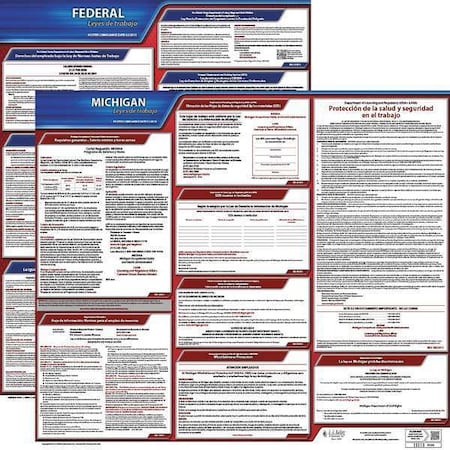 Labor Law Poster,Fed/STA,MN,SP,20inH,1yr