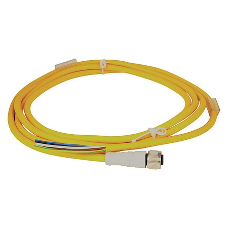 Cordset,Plug,5 Pin,Female