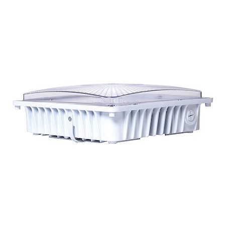 Light,LED,SMD Canopy,Flat,50W,5K,White