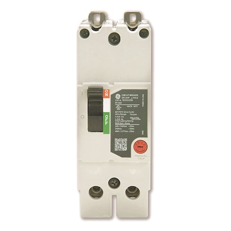 Molded Case Circuit Breaker, 125 A, 277/480V AC, 2 Pole, Bolt On Panelboard Mounting Style