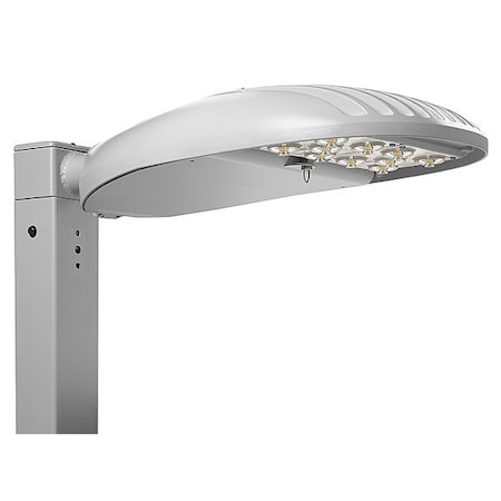 LED Area Luminaire,101W