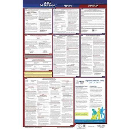 Labor Law Poster,Fed/STA,MT,SP,26inH,1yr