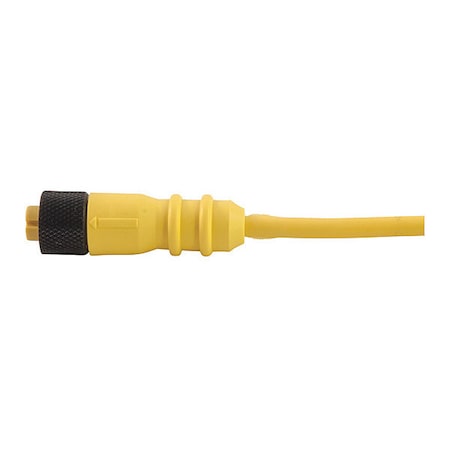 Cordset,Single Key,PVC,F,3 Pole,16.4 Ft.