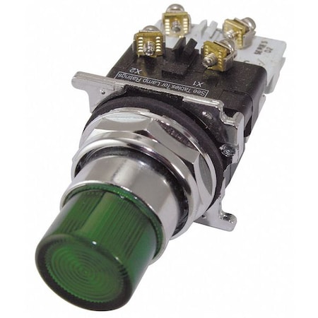 Illuminated Push Button,30mm,24VAC/DC