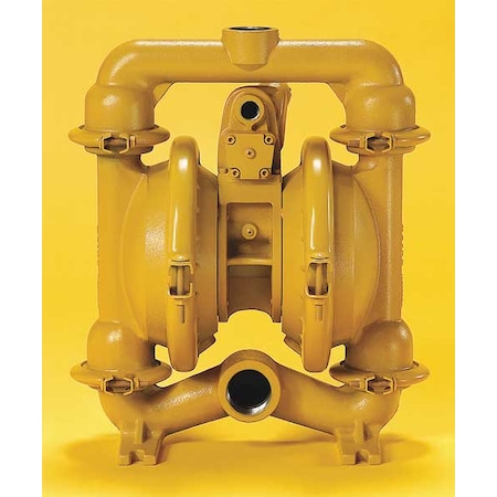 Double Diaphragm Pump, Stainless Steel, Air Operated, PTFE, 70 GPM