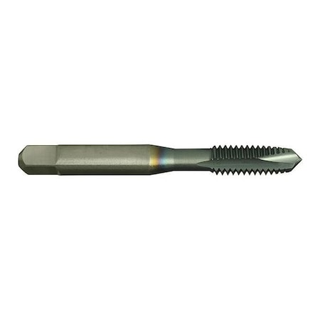 Spiral Point Tap, #12-24, Plug, UNC, 2 Flutes, Steam Oxide