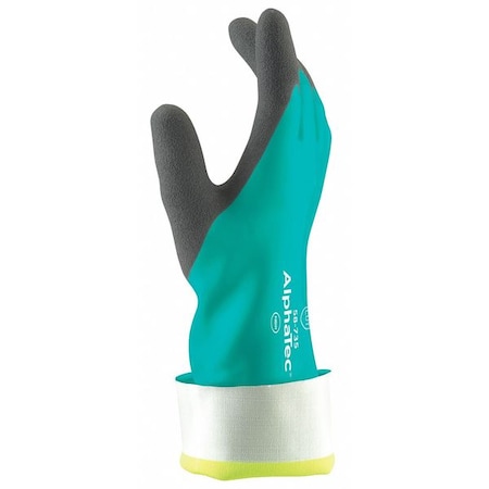 14 Chemical Resistant Gloves, Nitrile, 10, 1 PR
