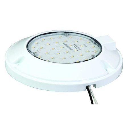 Dome Lamp,Clear,6-1/2 H,36 Bulbs