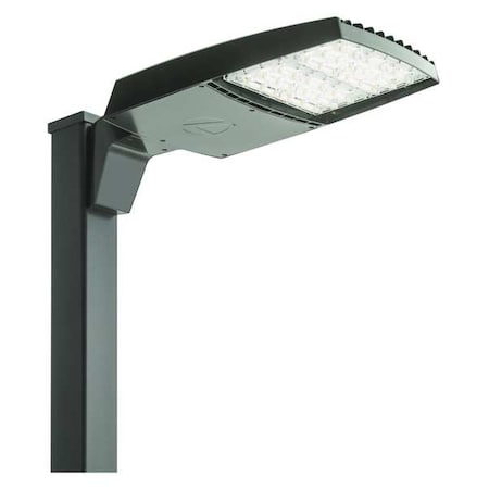Area And Roadway Fixture,LED,22022 Lm