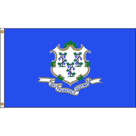 Connecticut Flag,5x8 Ft,Nylon