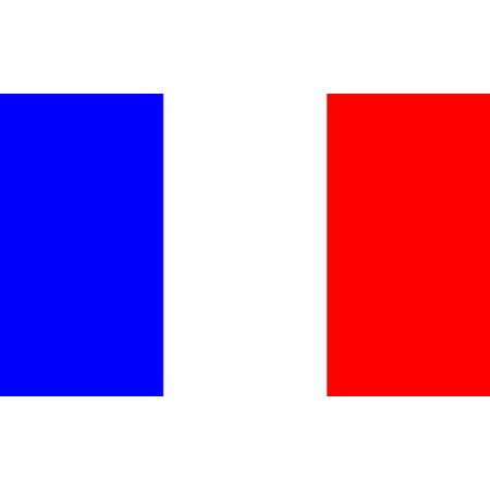 France Flag,4x6 Ft,Nylon