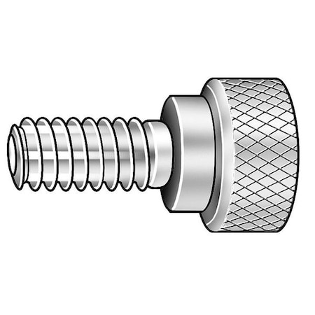 Thumb Screw, #8-32 Thread Size, Round, Plain 18-8 Stainless Steel, 7/32 In Head Ht, 11/16 In Lg