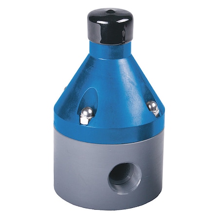 Relief Valve, 1/4, PP/TFE/EPDM, Adjustable 10-150 Psi, FPT