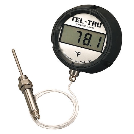 Digital Panel Mount Thermometer,RTD,7 H
