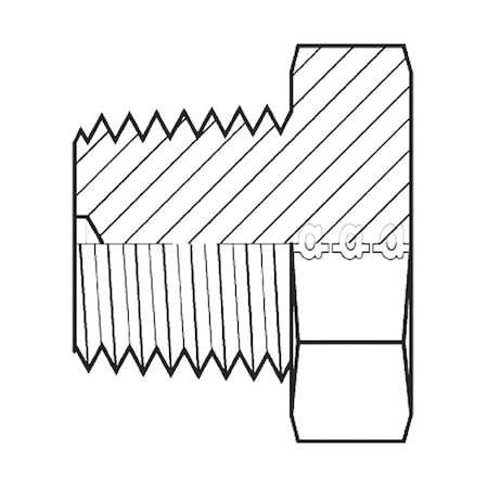 Hose Adapter,1/2,BSPT