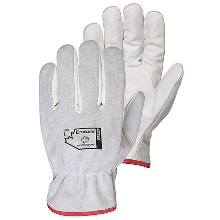 Gloves,White,L Glove Size,PK12