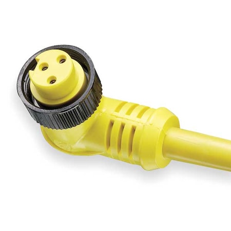 Cordset,3 Pin,Receptacle,Female