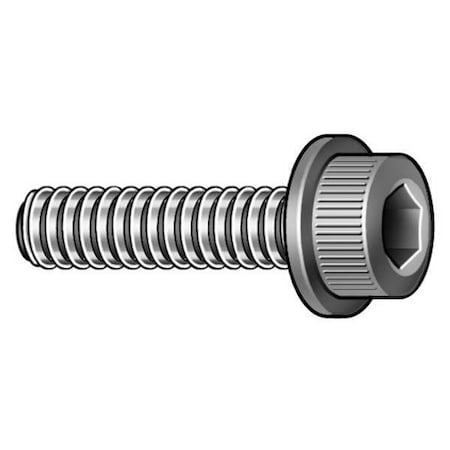 M6-1.00 Socket Head Cap Screw, Black Oxide Steel, 25 Mm Length, 10 PK