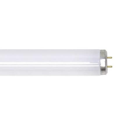 Fluorescent Lamp,T12,Very Cool,5000K