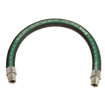 Hose,1 X 48,250 Psi,Male X Male Npt