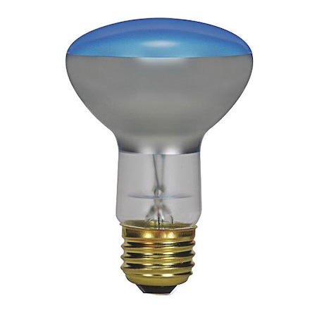 75 W R25 Incandescent - Grow - 2000 Hours - Medium Base - 120V