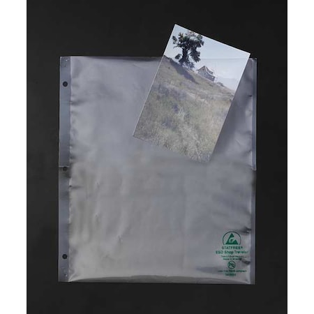 ESD Shop Bag,9.5x11 In,PK100