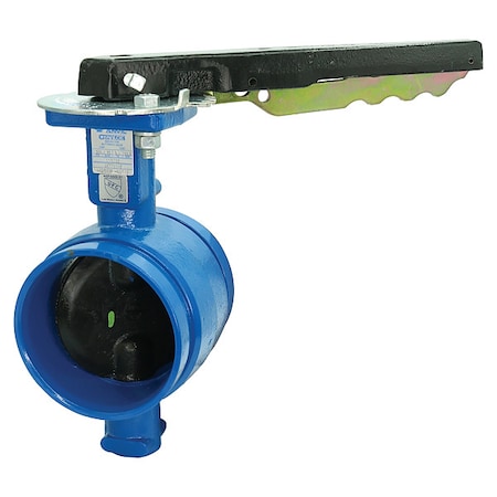 Butterfly Valve,Ductile Iron,2 Pipe Sz