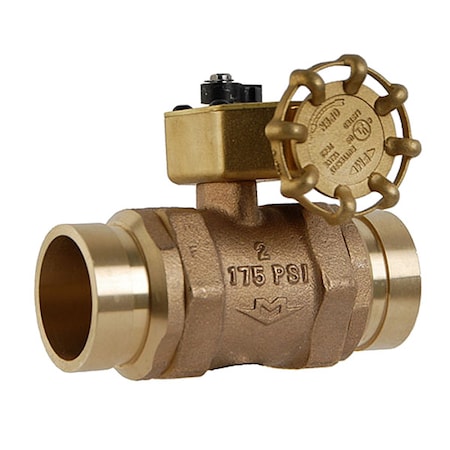 Control Valve,Fire Sprinkler,2 In