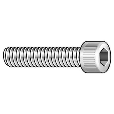 #2-56 Socket Head Cap Screw, Plain 18-8 Stainless Steel, 1/8 In Length, 5 PK