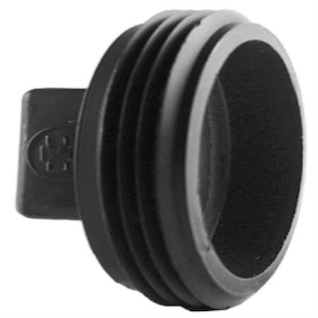 Cleanout Plug,2 In MNPT