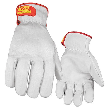 Leather Gloves,Goatskin,XL,PR