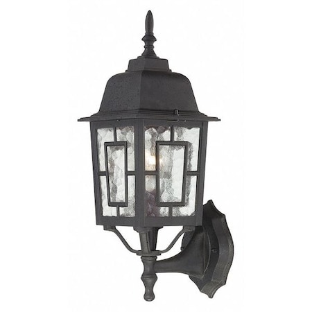 Banyan 1-Light 17 In. Outdoor Wall With Clear Water Glass Black Finish