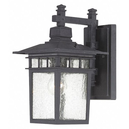 Cove Neck 1-Light 14 In. Outdoor Lantern With Clear Seed Glass