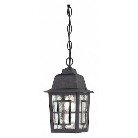 Banyan 1-Light 11 In. Outdoor Hanging With Clear Water Glass