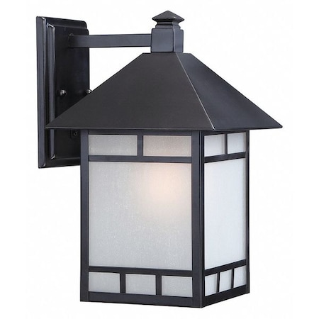 Drexel 1-Light 9 In. Outdoor Wall Fixture With Frosted Seed Glass