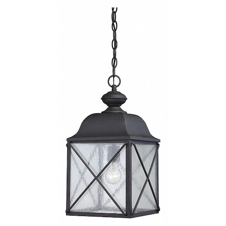 Wingate 1-Light Outdoor Hanging Fixture With Clear Seed Glass