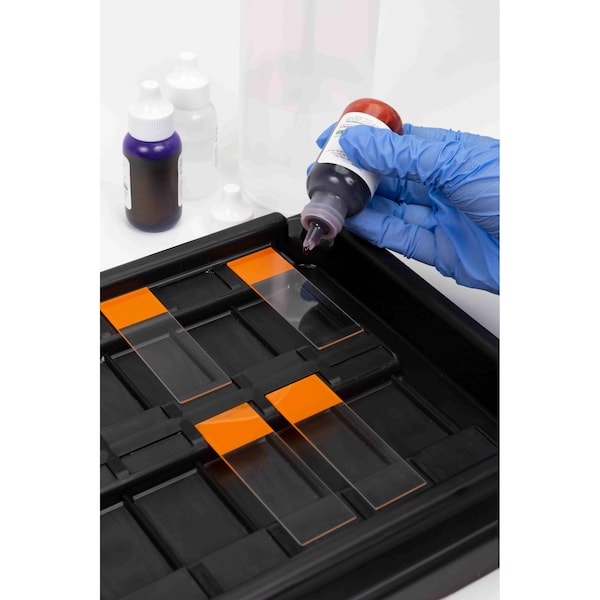 Slide Staining Tray Set,Black,18 Place